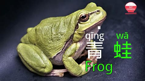 how to say frog.